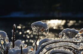 Adventi szombatok az Apátságban