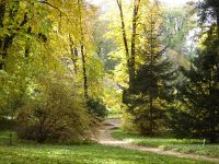 4 Evszak A Zirci Arboretumrol 463